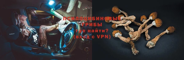 ECSTASY Беломорск
