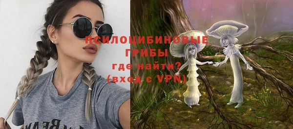 гидра Белоозёрский