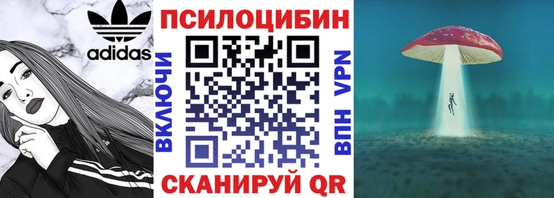 Псилоцибиновые грибы мицелий  OMG ссылки  Нерюнгри  где купить наркотик 